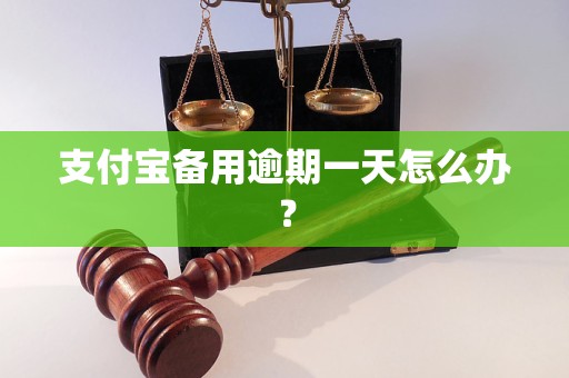 支付宝备用逾期一天怎么办？