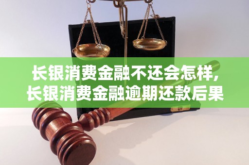 长银消费金融不还会怎样,长银消费金融逾期还款后果