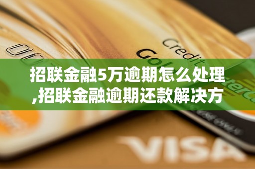 招联金融5万逾期怎么处理,招联金融逾期还款解决方法