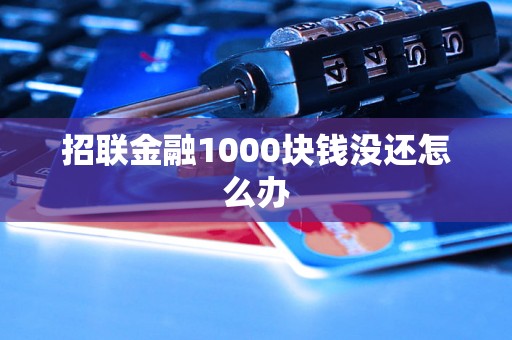 招联金融1000块钱没还怎么办