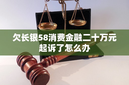 欠长银58消费金融二十万元起诉了怎么办