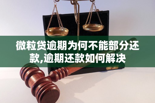 微粒贷逾期为何不能部分还款,逾期还款如何解决