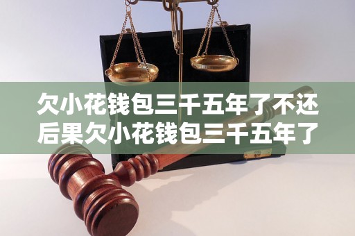 欠小花钱包三千五年了不还后果欠小花钱包三千五年了不还后果严重吗