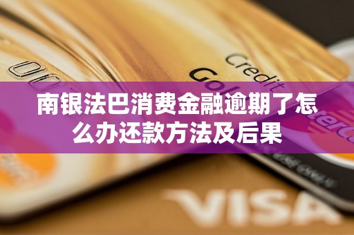 南银法巴消费金融逾期了怎么办还款方法及后果