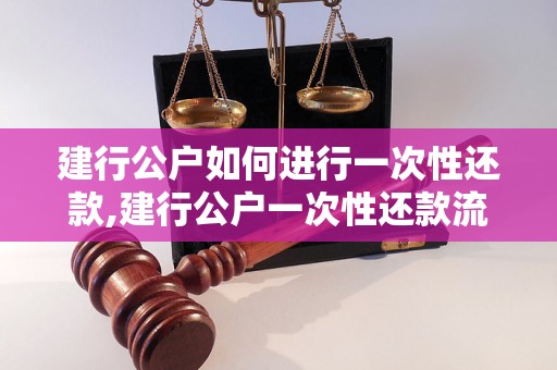 建行公户如何进行一次性还款,建行公户一次性还款流程详解