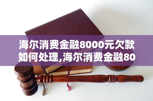 海尔消费金融8000元欠款如何处理,海尔消费金融8000元欠款还款方式