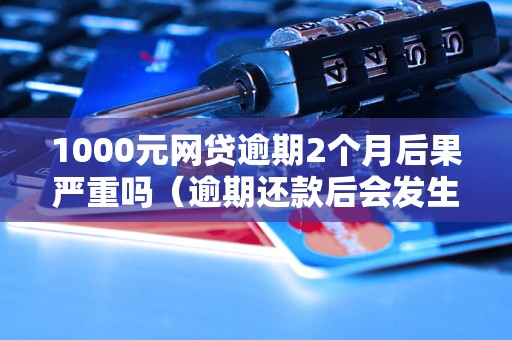 1000元网贷逾期2个月后果严重吗（逾期还款后会发生什么）