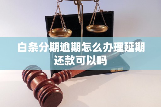 白条分期逾期怎么办理延期还款可以吗