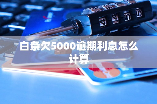 白条欠5000逾期利息怎么计算