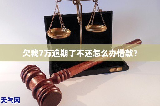 欠我7万逾期了不GA黄金甲还怎么办借款?(图1) 欠我7万逾期了不GA黄金甲还怎么办借款?(图1)