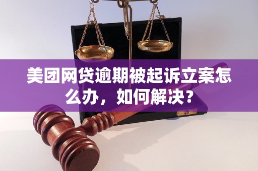 美团网贷逾期被起诉立案怎么办，如何解决？