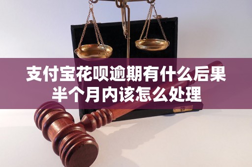 支付宝花呗逾期有什么后果半个月内该怎么处理