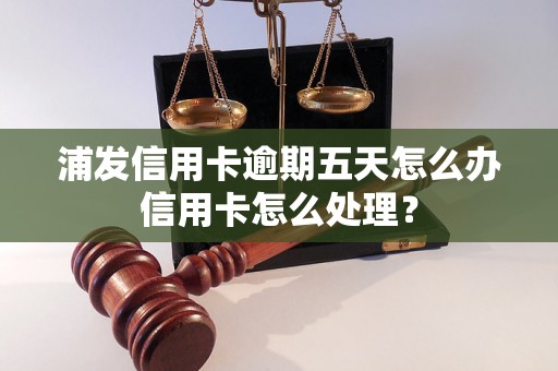 浦发信用卡逾期五天怎么办信用卡怎么处理？