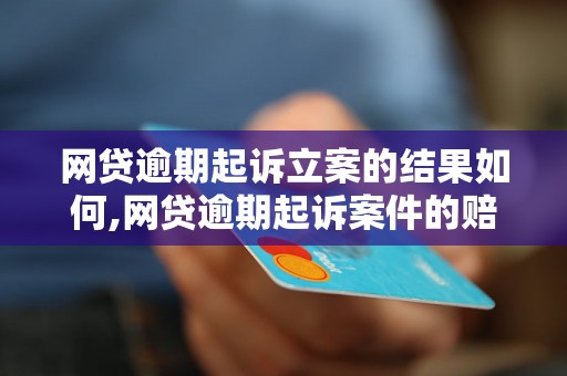 网贷逾期起诉立案的结果如何,网贷逾期起诉案件的赔偿标准