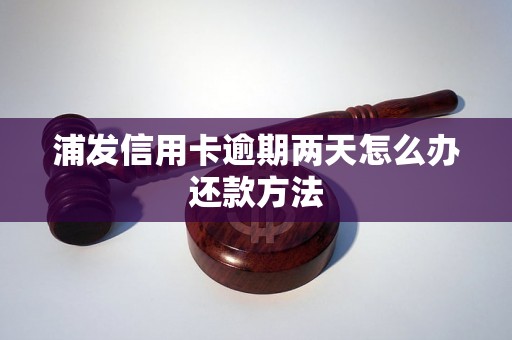 浦发信用卡逾期两天怎么办还款方法