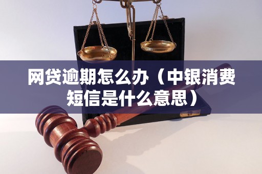 网贷逾期怎么办（中银消费短信是什么意思）