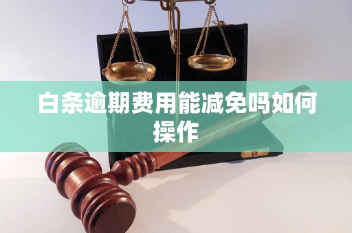 白条逾期费用能减免吗如何操作