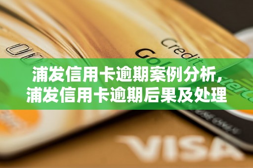 浦发信用卡逾期案例分析,浦发信用卡逾期后果及处理方法