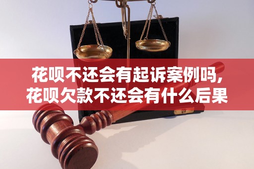 花呗不还会有起诉案例吗,花呗欠款不还会有什么后果