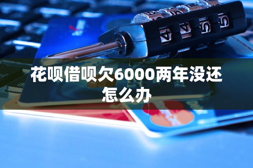 花呗借呗欠6000两年没还怎么办