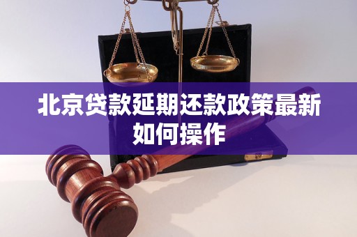 北京贷款延期还款政策最新如何操作