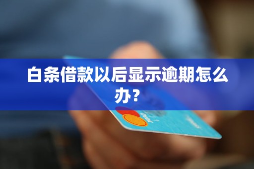 白条借款以后显示逾期怎么办？