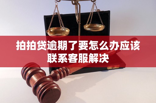 拍拍贷逾期了要怎么办应该联系客服解决