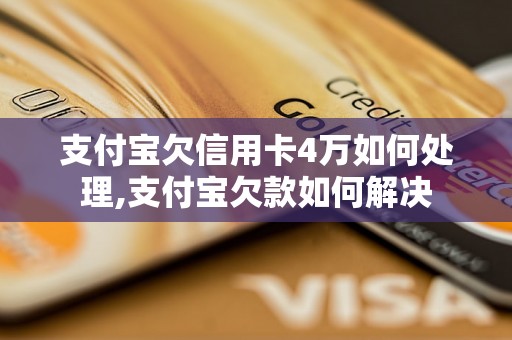 支付宝欠信用卡4万如何处理,支付宝欠款如何解决