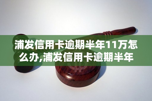 浦发信用卡逾期半年11万怎么办,浦发信用卡逾期半年11万是否会被追究法律责任