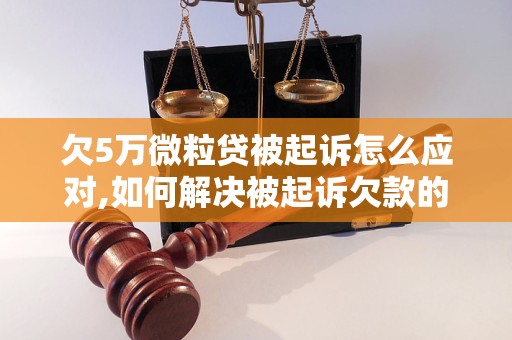 欠5万微粒贷被起诉怎么应对,如何解决被起诉欠款的问题