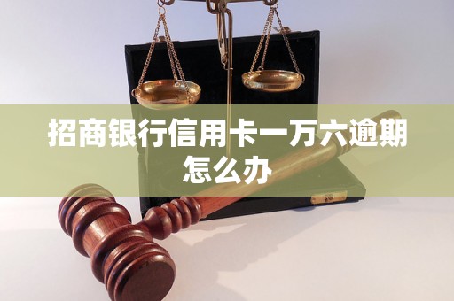 招商银行信用卡一万六逾期怎么办