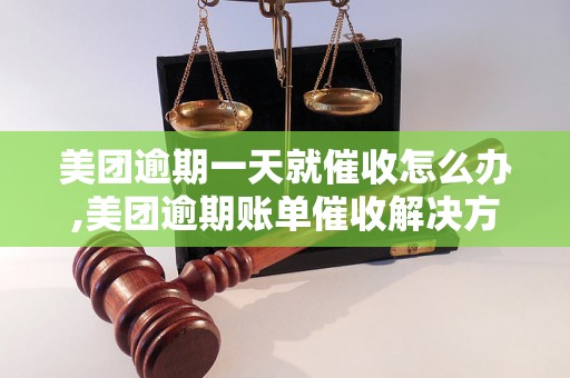 美团逾期一天就催收怎么办,美团逾期账单催收解决方法