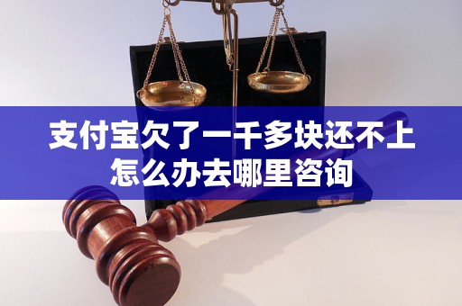 支付宝欠了一千多块还不上怎么办去哪里咨询