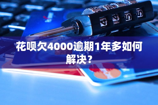 花呗欠4000逾期1年多如何解决？