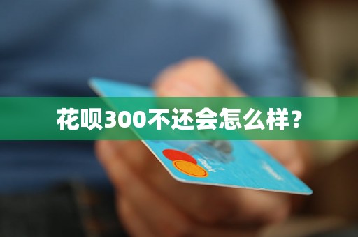 花呗300不还会怎么样？