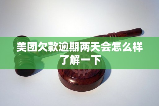 美团欠款逾期两天会怎么样了解一下