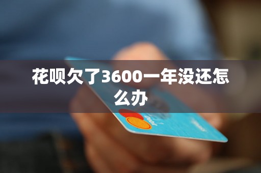 花呗欠了3600一年没还怎么办