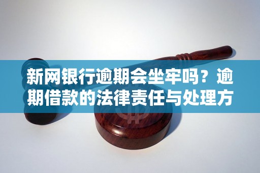 新网银行逾期会坐牢吗？逾期借款的法律责任与处理方式