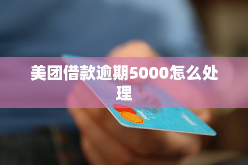 美团借款逾期5000怎么处理