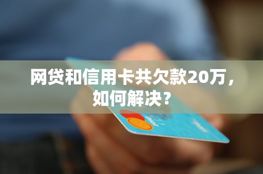 网贷和信用卡共欠款20万，如何解决？