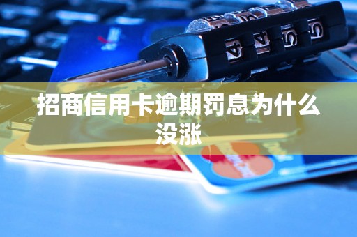 招商信用卡逾期罚息为什么没涨