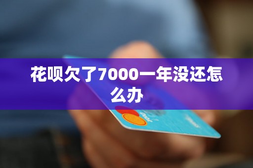 花呗欠了7000一年没还怎么办