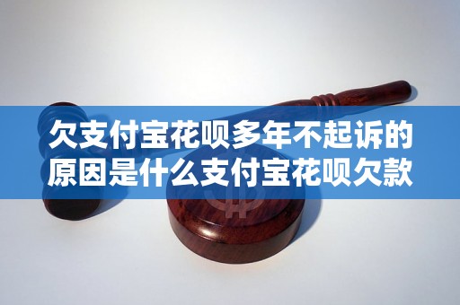 欠支付宝花呗多年不起诉的原因是什么支付宝花呗欠款被不起诉的可能原因分析