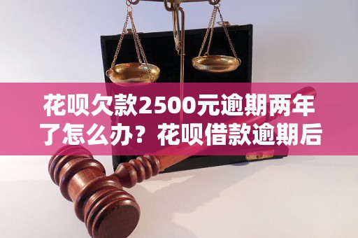 花呗欠款2500元逾期两年了怎么办？花呗借款逾期后的处理方法