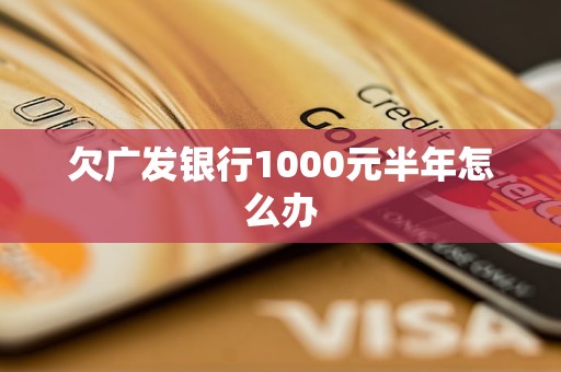 欠广发银行1000元半年怎么办