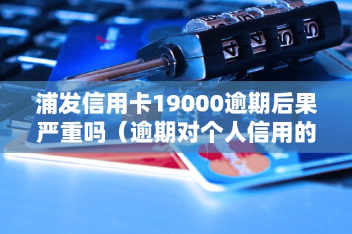 浦发信用卡19000逾期后果严重吗（逾期对个人信用的影响有哪些）