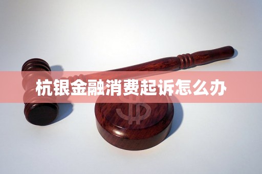 杭银金融消费起诉怎么办