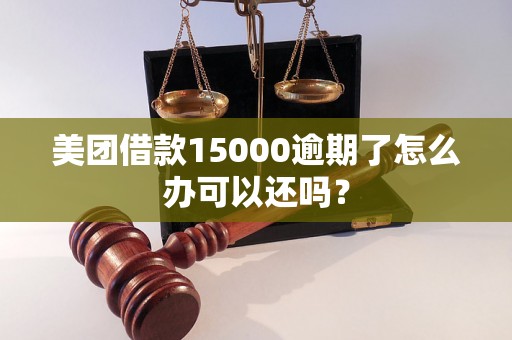 美团借款15000逾期了怎么办可以还吗？