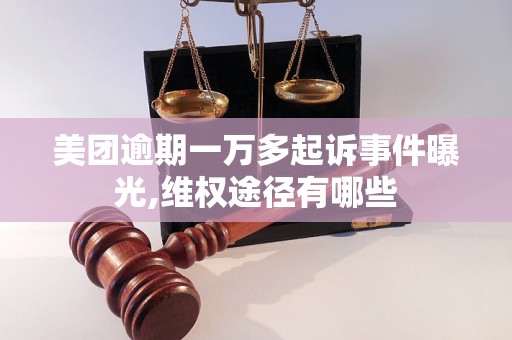 美团逾期一万多起诉事件曝光,维权途径有哪些