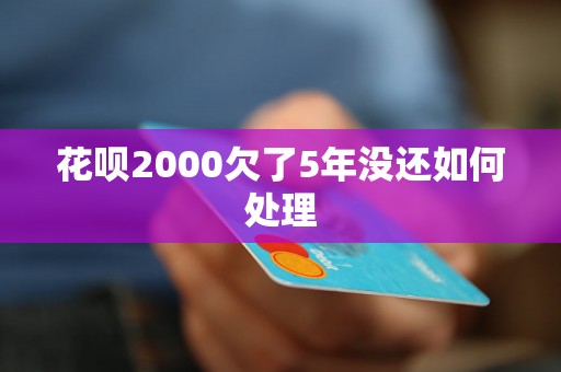 花呗2000欠了5年没还如何处理